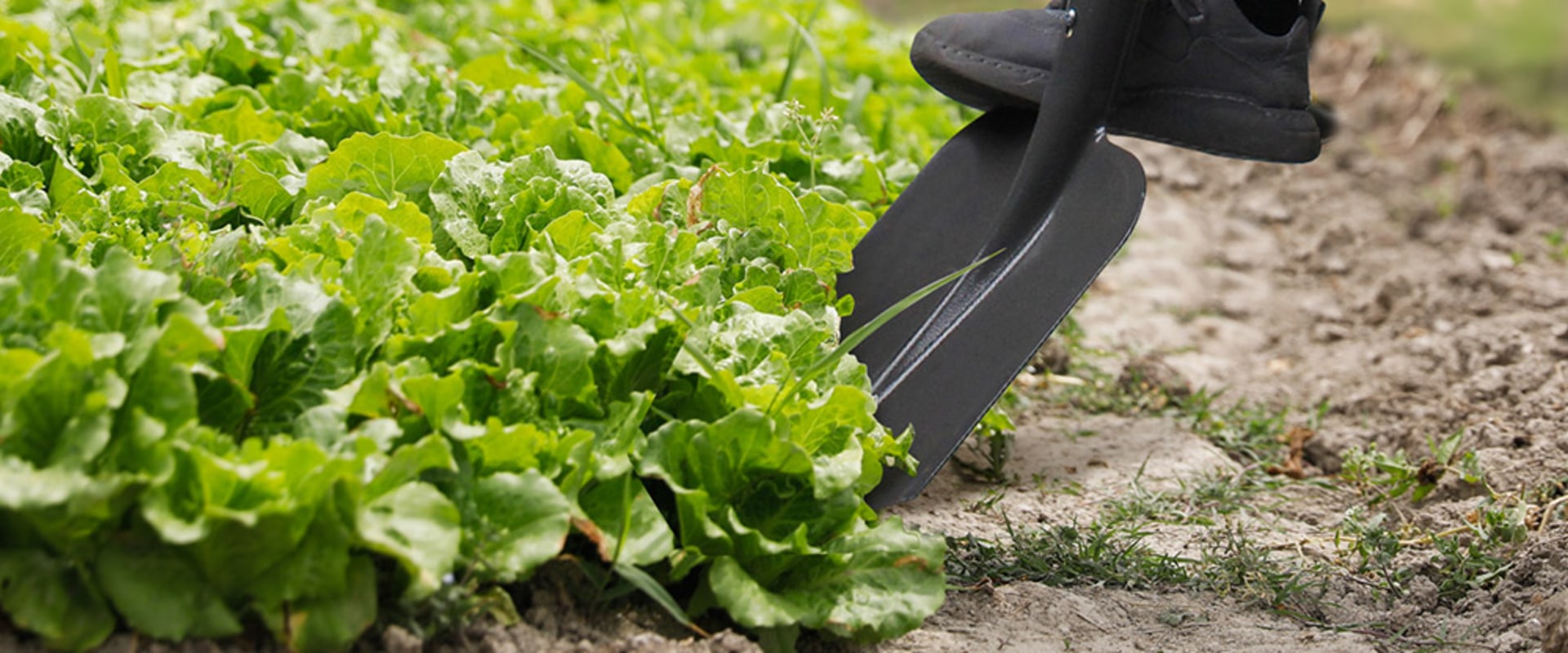 How to Use and Troubleshoot Your Gardening Tools: A Comprehensive Guide