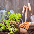 A Beginner's Guide to Gardening Tools