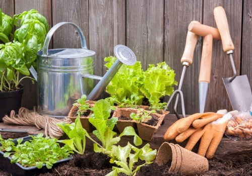 A Beginner's Guide to Gardening Tools